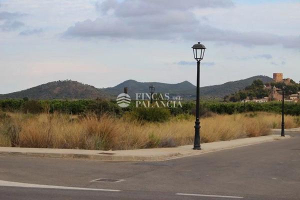 Terreno en avenida de València, 1 photo 2