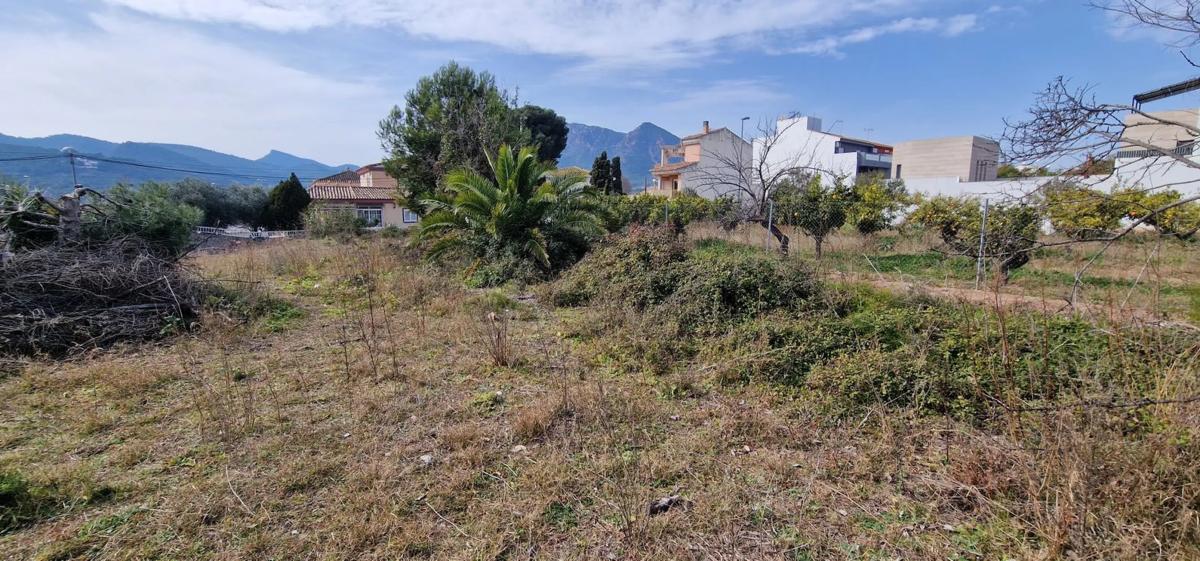 Terreno en venta en Albalat Dels Taronchers, Valencia photo 1