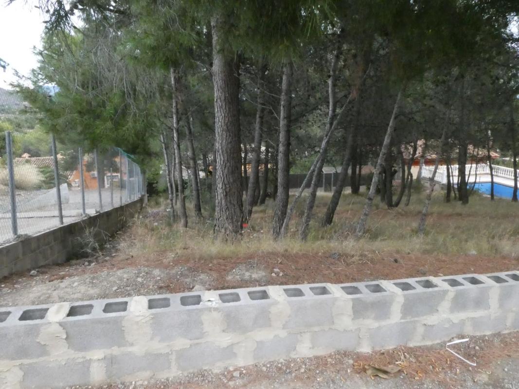 Terreno en venta en Torres-Torres, Valencia photo 2