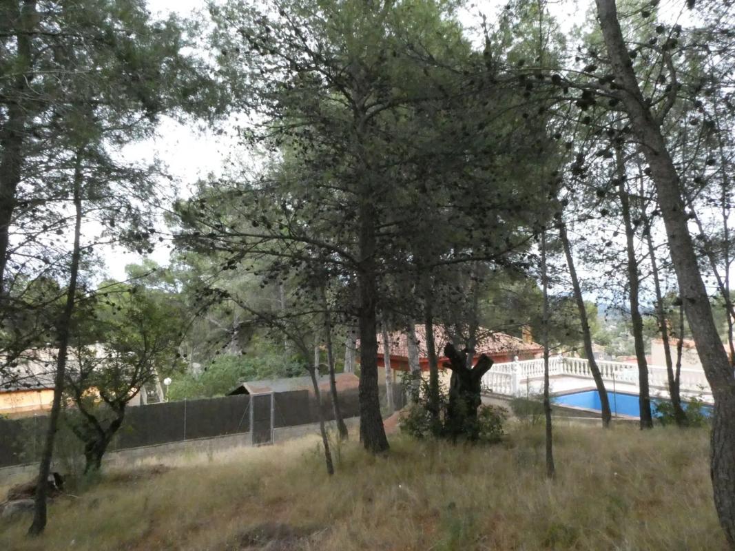 Terreno en venta en Torres-Torres, Valencia photo 4