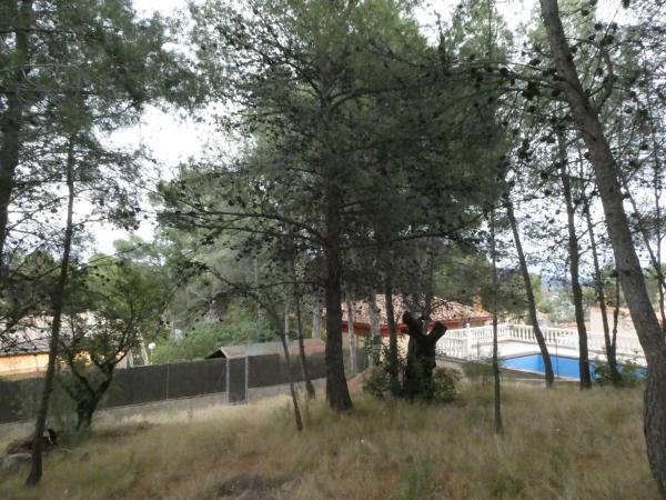 Terreno en calle El tochar, 100 photo 4
