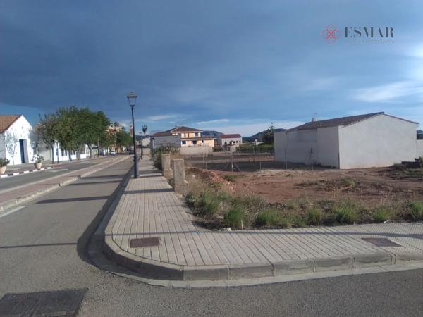Terreno en Algimia de Alfara photo 4