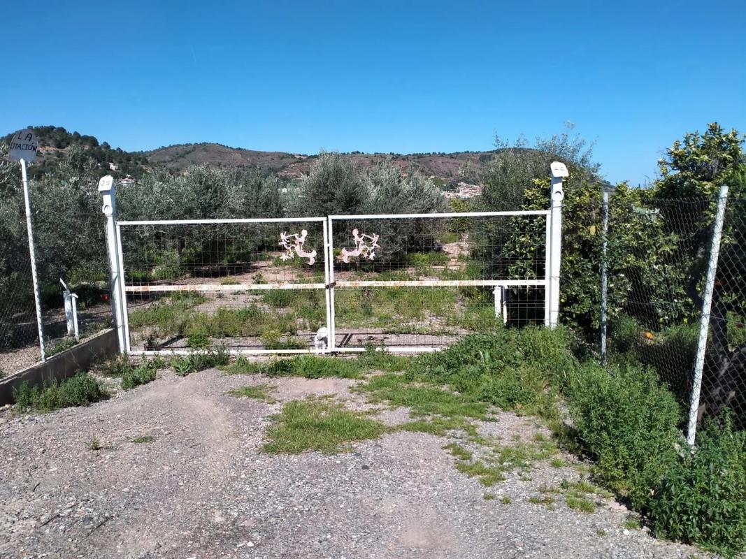 Terreno en venta en Gilet, Valencia photo 4