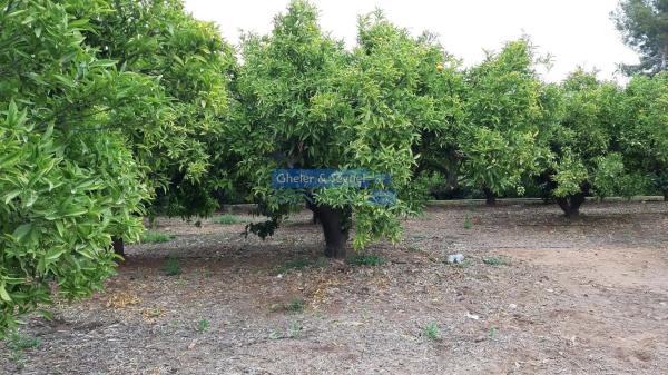 Terreno en Antigua Moreria photo 1