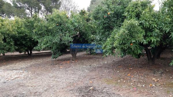 Terreno en Antigua Moreria photo 2