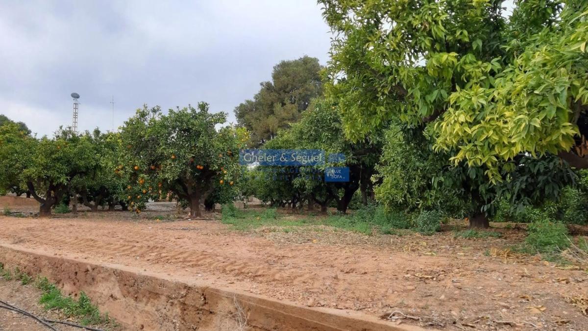 Land for sale in Sagunto, Valencia photo 3