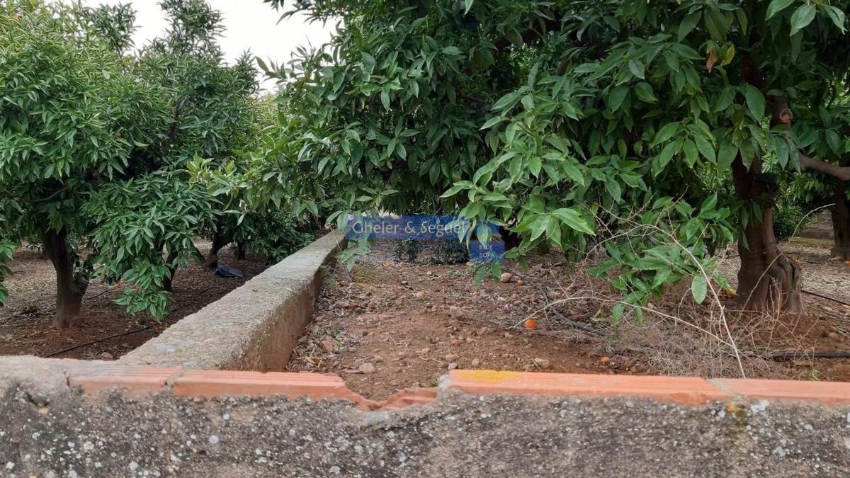 Land for sale in Sagunto, Valencia photo 4