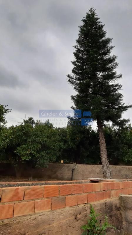 Land for sale in Sagunto, Valencia photo 5