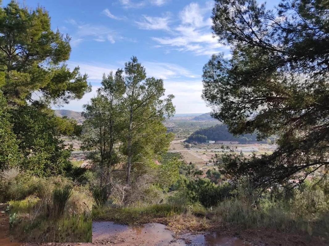 Terreno en venta en Gilet, Valencia photo 3