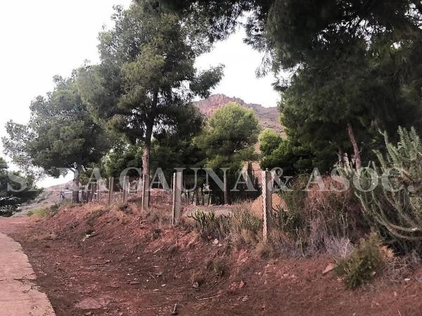 Terreno en Gilet photo 3