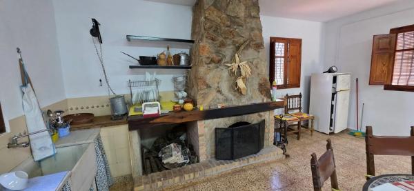 Terreno en cv310 s/n photo 3