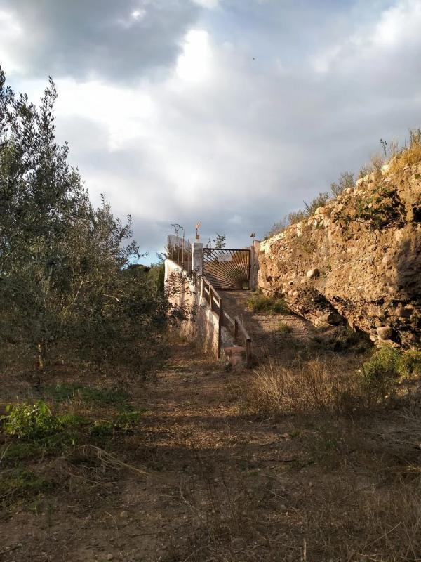 Land for sale in Petrés, Valencia photo 3