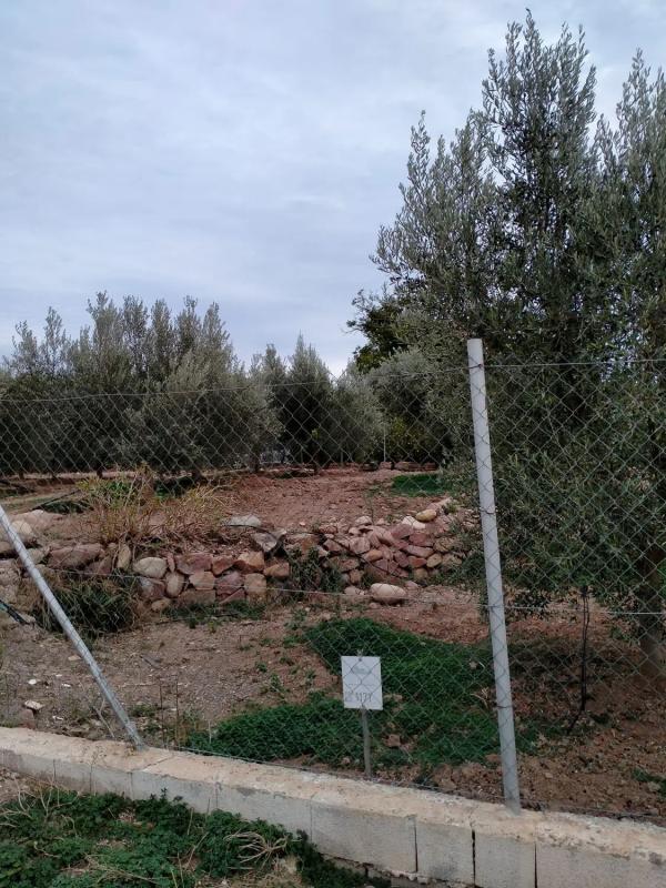 Land for sale in Petrés, Valencia photo 4
