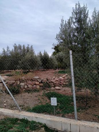 Terreno en plaza Poligono 1, 1 photo 4