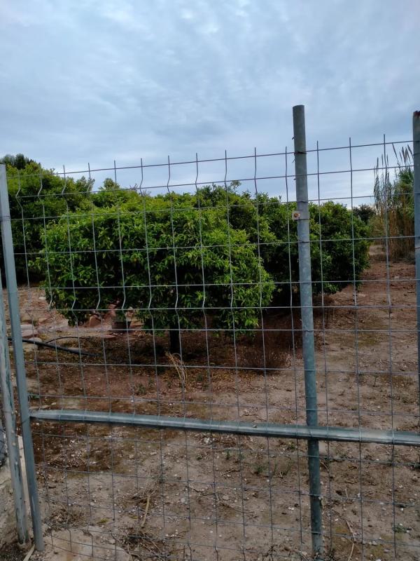 Land for sale in Petrés, Valencia photo 5