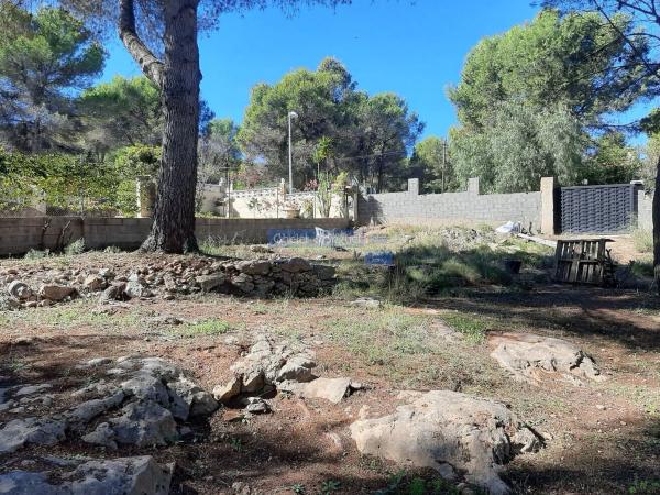 Terreno en Montes De Palancia photo 2