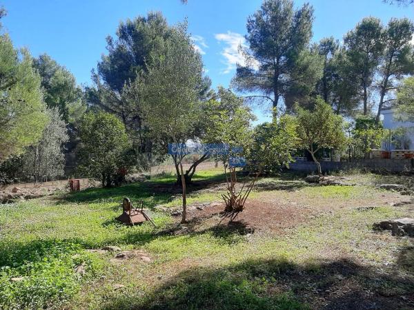 Terreno en Montes De Palancia photo 4