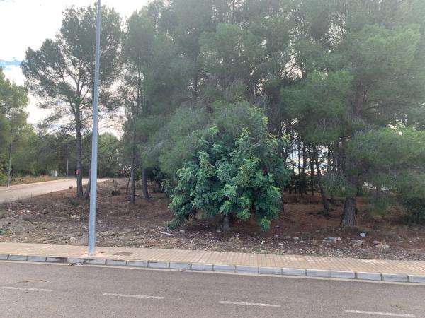 Terreno en Urbanización Tarongers s/n photo 3