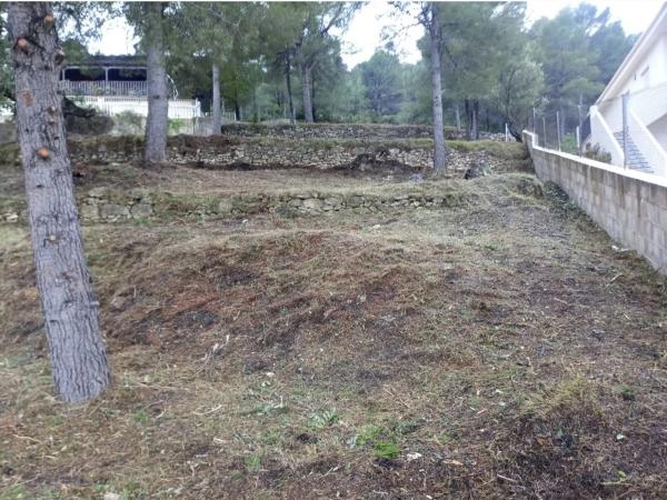 Terreno en calle Circular Dos, 34 photo 4