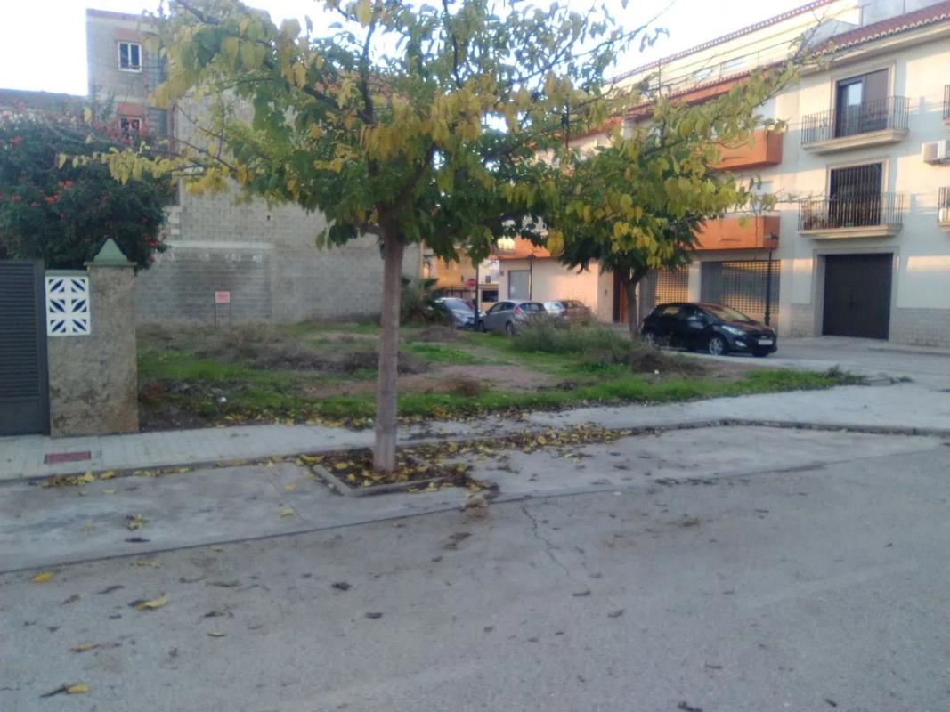 Działka na sprzedaż w Algimia de Alfara, Walencja photo 3