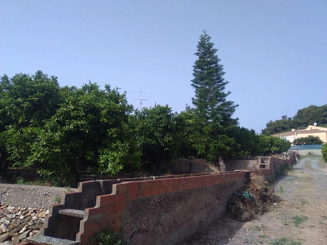 Terreno en venta en Sagunto/Sagunt, Valencia photo 3