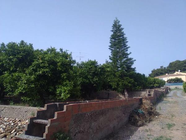 Terreno en Doctor Palos - Alto Palancia photo 3