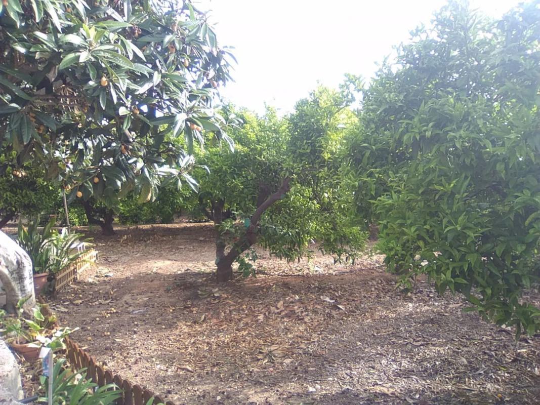 Terreno en venta en Sagunto/Sagunt, Valencia photo 4