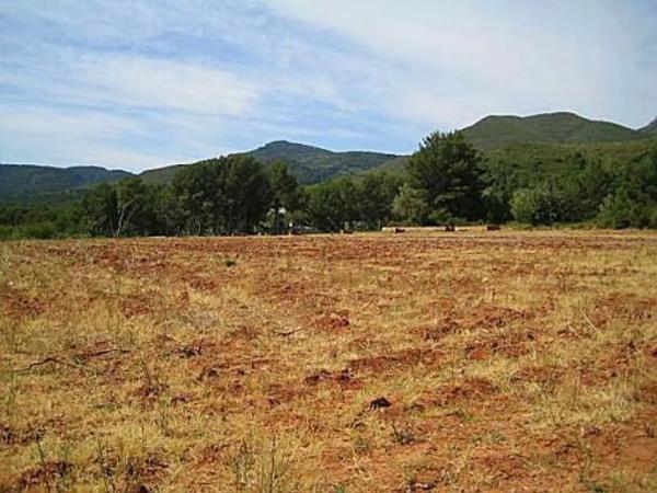 Terreno en Poligono Poligon 4, km 1 thumbnail 2