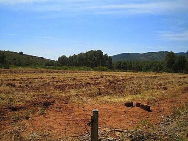 Terreno en Poligono Poligon 4, km 1 photo 4