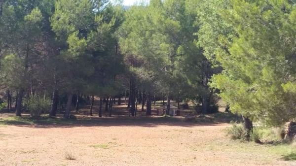 Terreno en via Mudéjar, km 25 photo 1