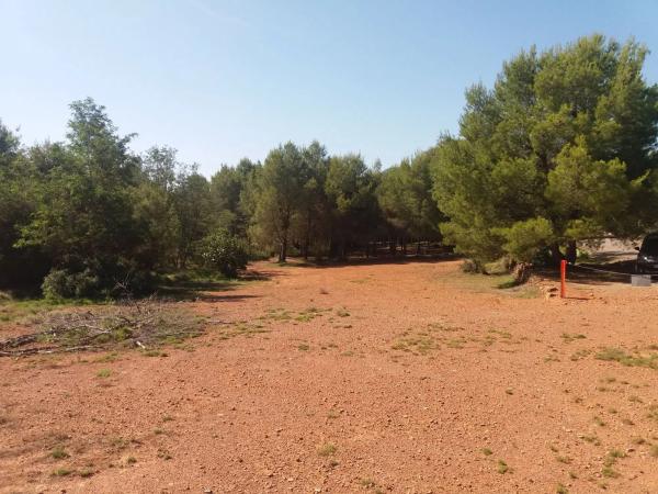Terreno en via Mudéjar, km 25 photo 4