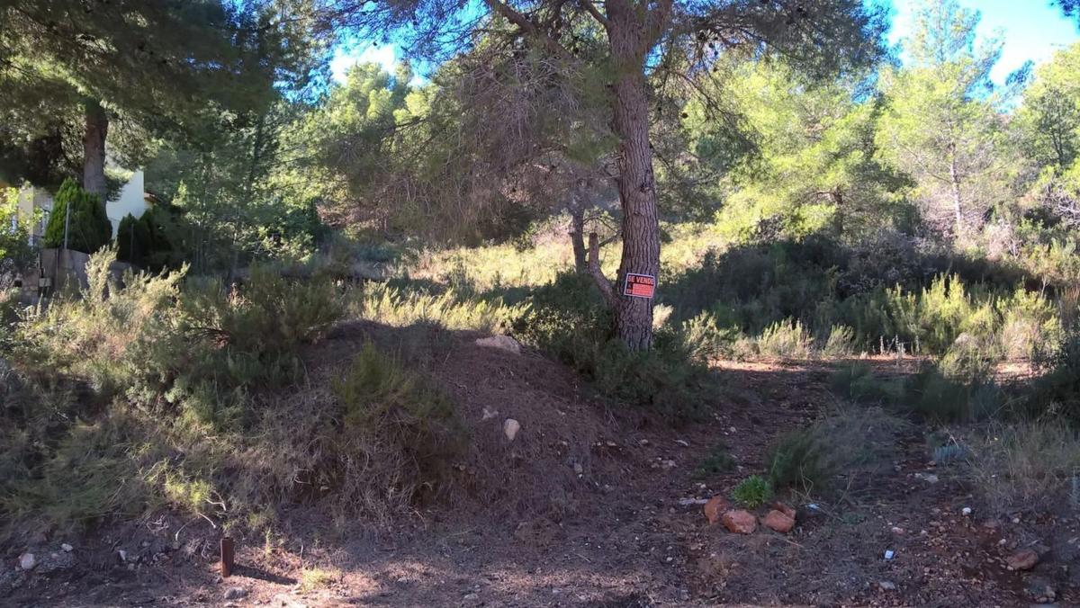 Terreno en venta en Algar de Palancia, Valencia photo 2