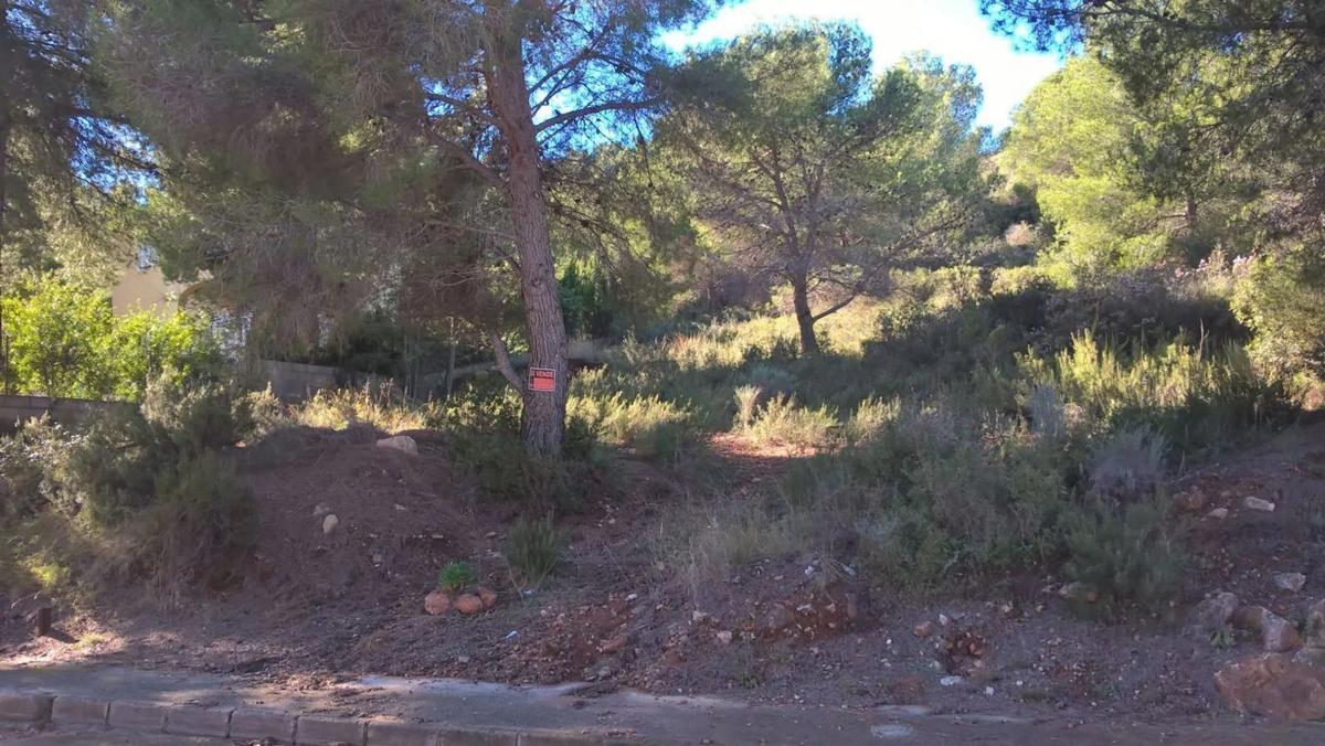 Terreno en venta en Algar de Palancia, Valencia photo 5