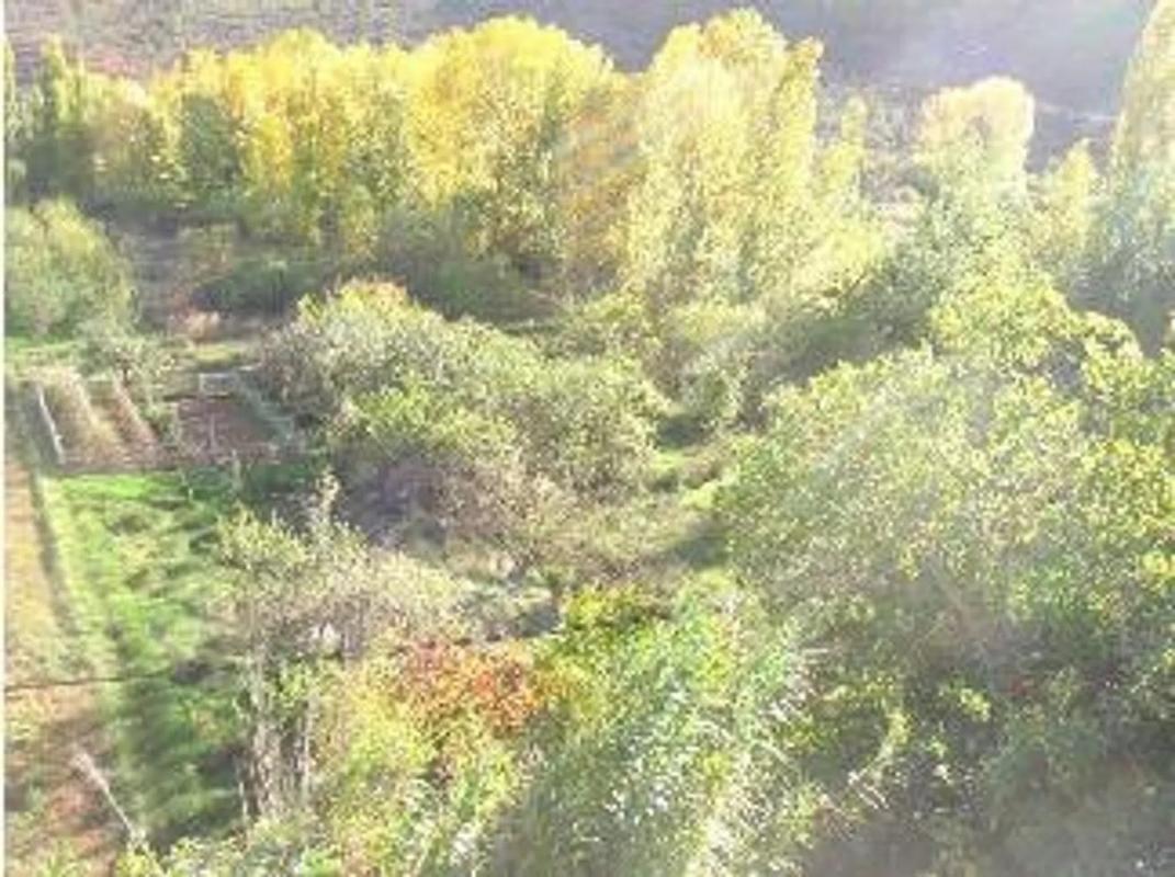 Terreno en venta en Casas Bajas, Valencia photo 1