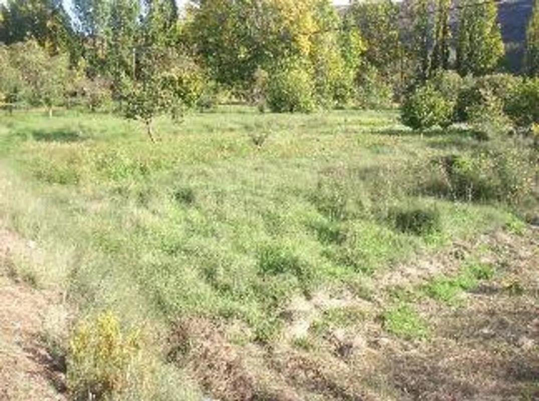 Terreno en venta en Casas Bajas, Valencia photo 2
