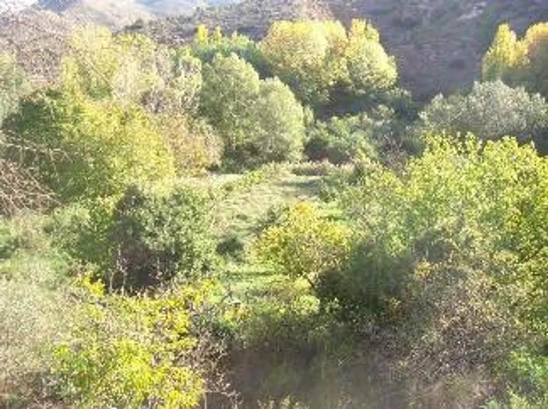 Terreno en venta en Casas Bajas, Valencia photo 3