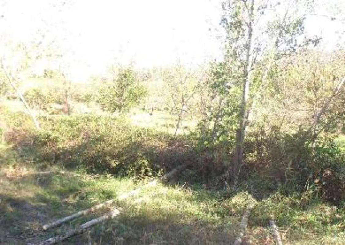 Terreno en venta en Casas Bajas, Valencia photo 4