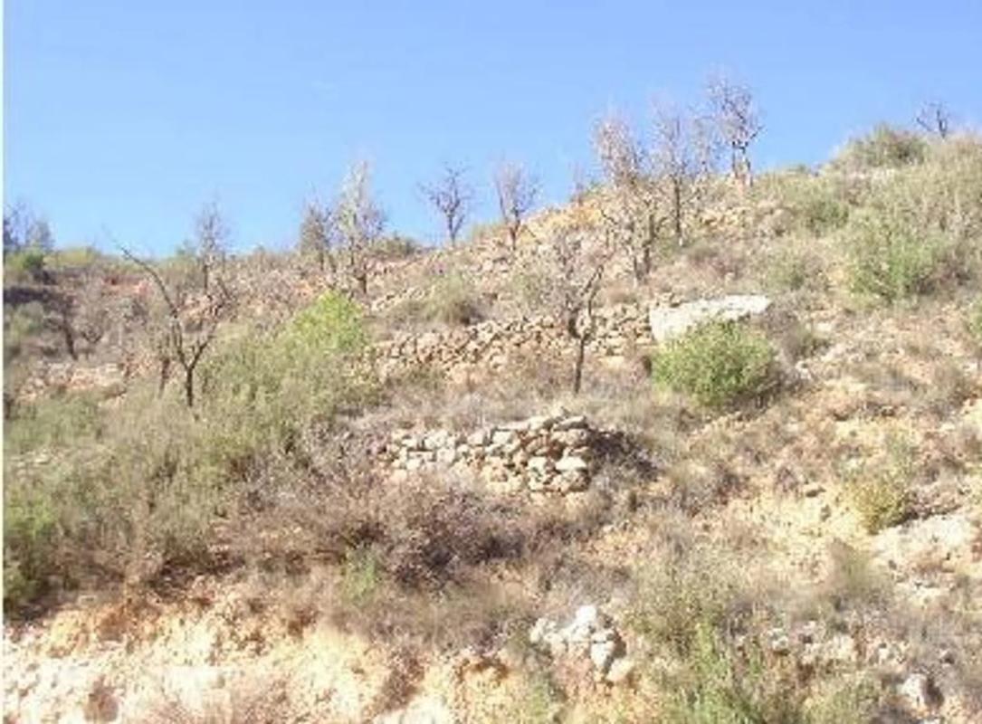 Terreno en venta en Casas Bajas, Valencia photo 5