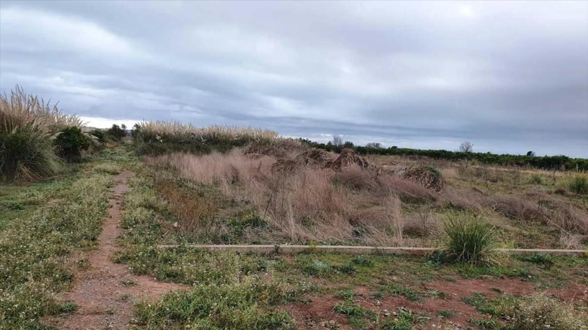 Terreno en venta en Casas Bajas, Valencia photo 3