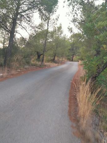 Terreno en Olocau photo 3