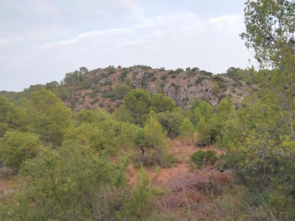 Terreno en Olocau photo 4