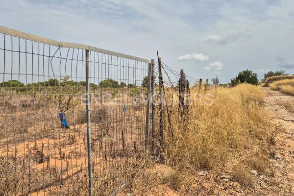 Terreno en Torre en Conill-Cumbres de San Antonio photo 3