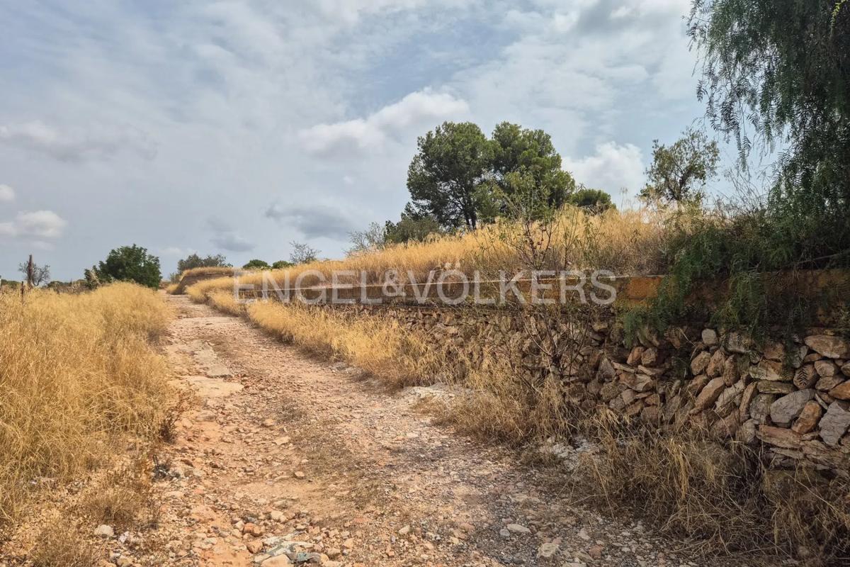 Terreno en venta en Bétera, Valencia photo 4