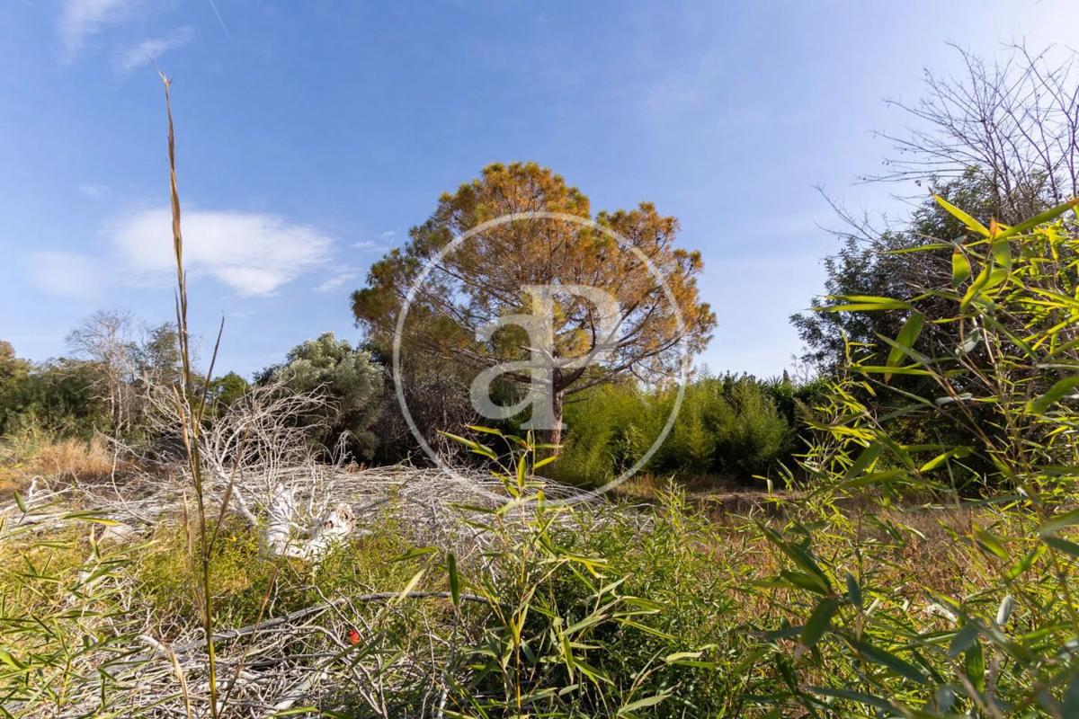 Terreno en venta en L'Eliana, Valencia photo 1