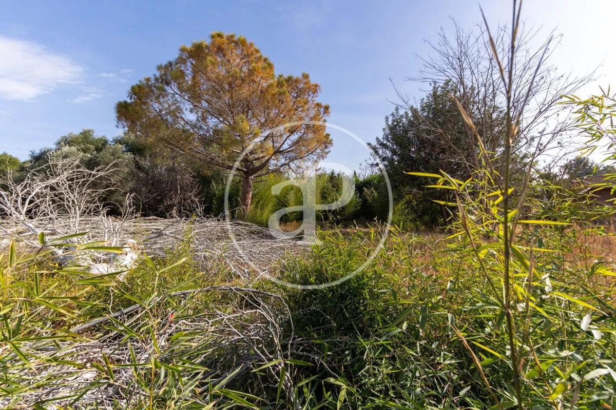 Terreno en venta en L'Eliana, Valencia photo 2