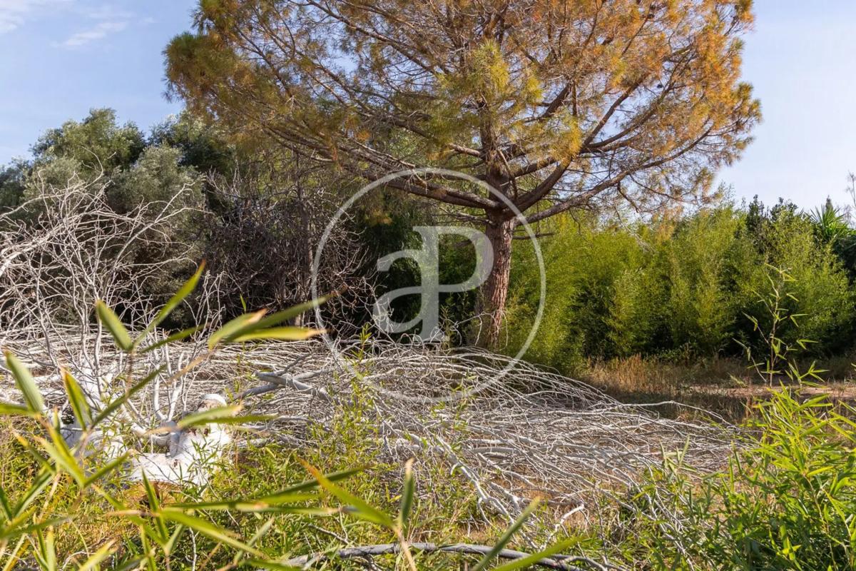 Terreno en venta en L'Eliana, Valencia photo 3