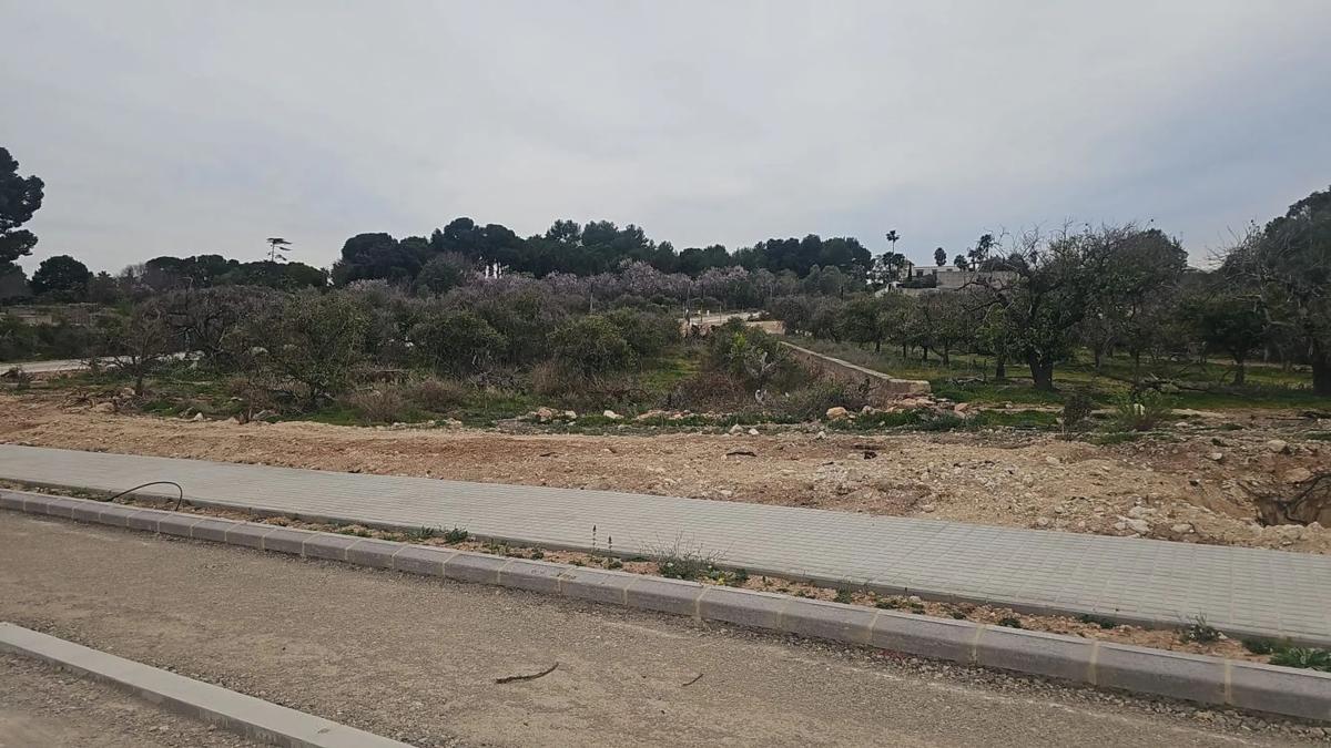 Terreno en venta en Bétera, Valencia photo 5