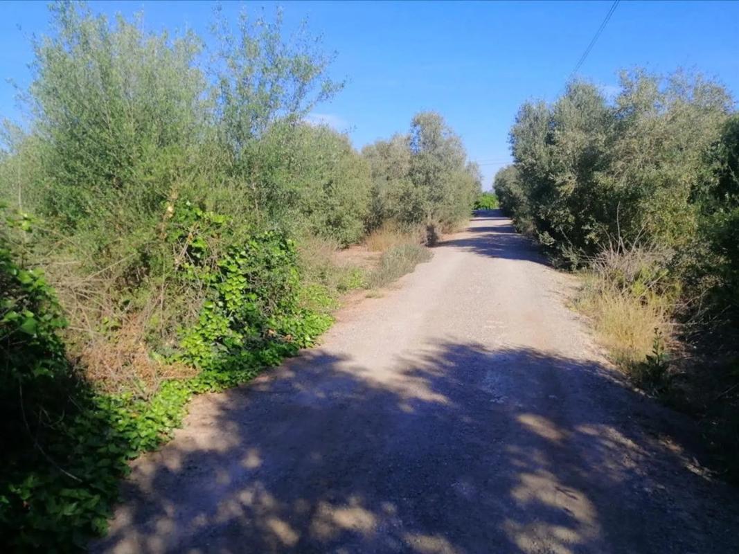Land for sale in La Pobla de Vallbona, Valencia photo 1