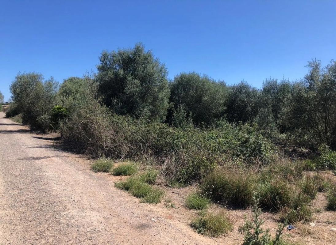 Land for sale in La Pobla de Vallbona, Valencia photo 3