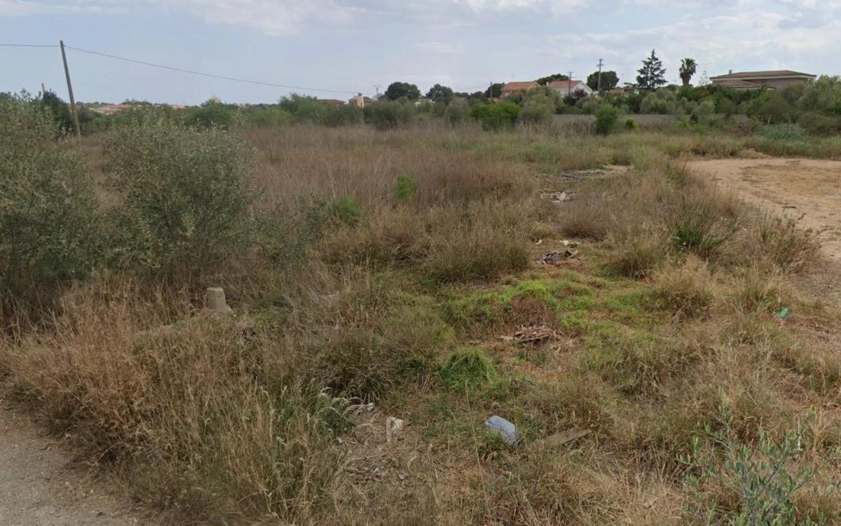Land for sale in La Pobla de Vallbona, Valencia photo 4